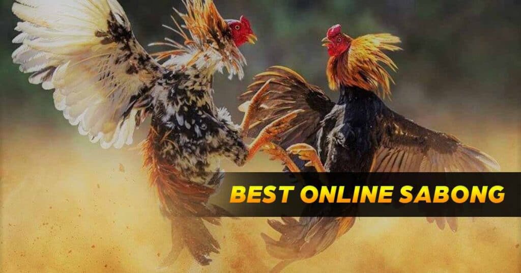 featured images best online sabong Philippines Platform