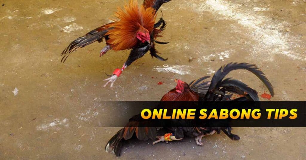 featured images online sabong tips