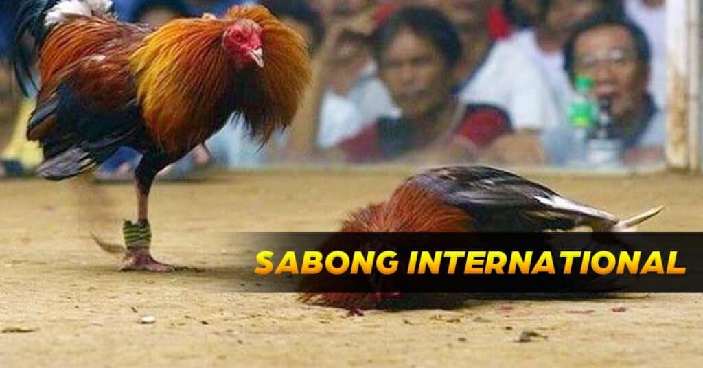 featured images sabong international