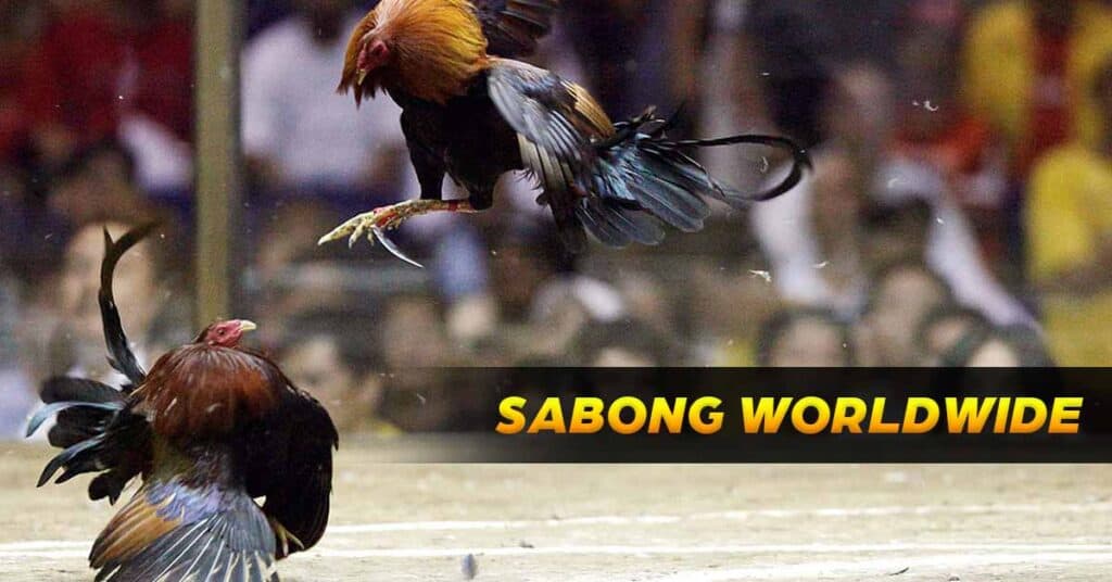 featured images sabong worldwide