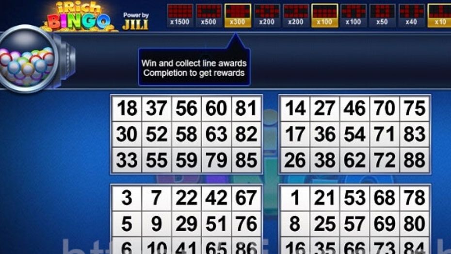 iRich Bingo Unique Prizes