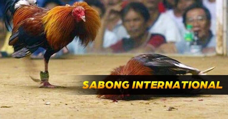 Lodigame: Sabong International Review