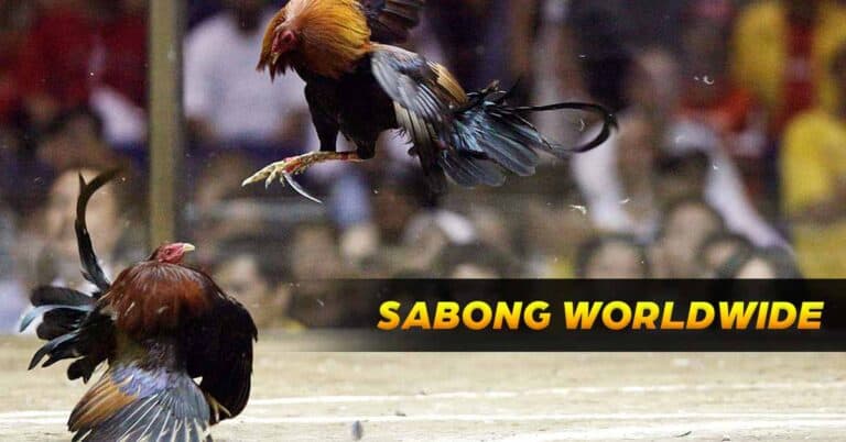Exploring Sabong Worldwide: In-depth Review